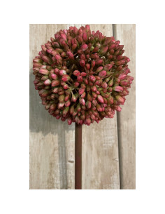 Hill Interiors Pink Allium 19589 - Authentic Hill Interiors furniture directly from FastDaddy UK. Exclusive collection online.