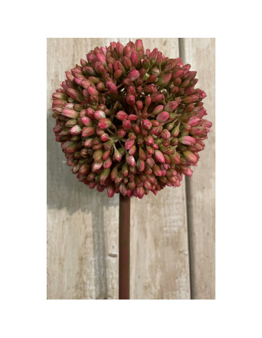 Hill Interiors Pink Allium 19589 - Authentic Hill Interiors furniture directly from FastDaddy UK. Exclusive collection online.