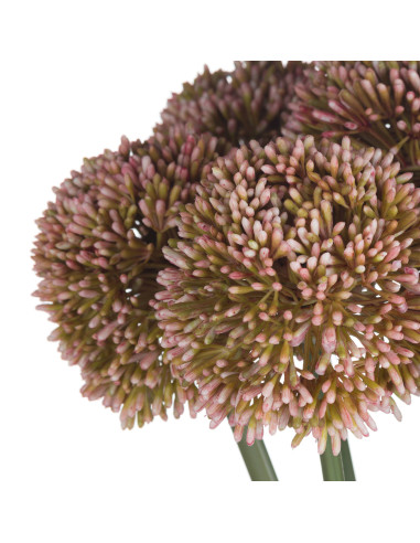 Full dimensions and specifications of Hill Interiors Pink Allium 19589: Height 63.00cm, Width 10.00cm, perfect for your living