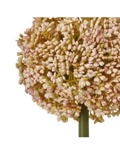 Hill Interiors Pink Allium Stem 23866 - Authentic Hill Interiors furniture directly from FastDaddy UK. Exclusive collection onl 2