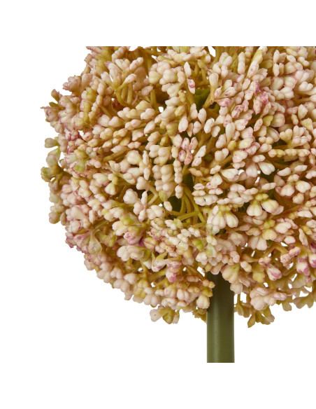 Buy Hill Interiors 23866 Pink Allium Stem online in UK with fast delivery from FastDaddy UK, your furniture expert.