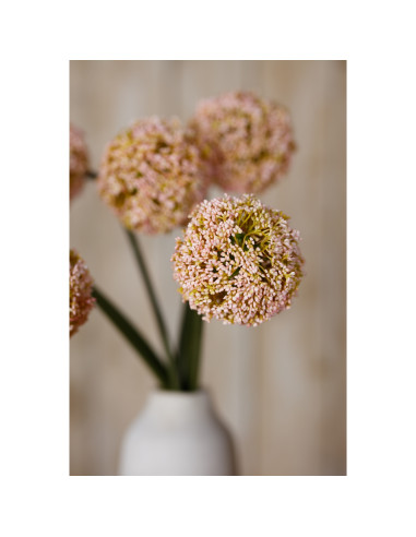 Full dimensions and specifications of Hill Interiors Pink Allium Stem 23866: Height 75.00cm, Width 11.00cm, perfect for your li