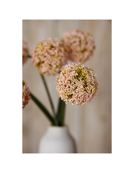 Full dimensions and specifications of Hill Interiors Pink Allium Stem 23866: Height 75.00cm, Width 11.00cm, perfect for your li