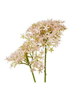 Hill Interiors Pink Crown Hydrangea Stem 23864 - Authentic Hill Interiors furniture directly from FastDaddy UK. Exclusive colle 2