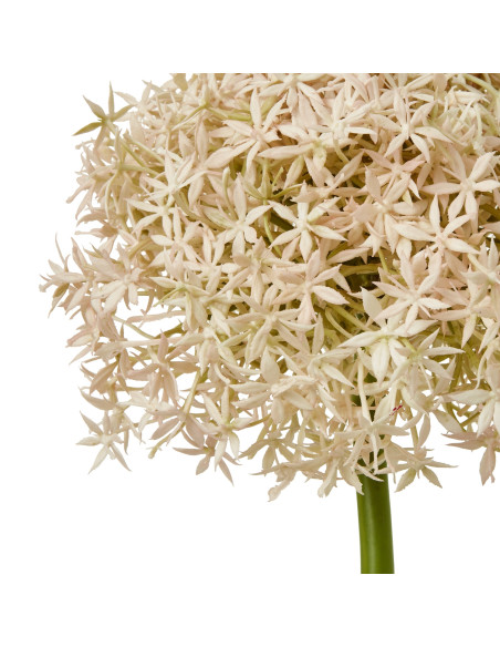 Buy Hill Interiors 23856 Pink Giant Allium Stem online in UK with fast delivery from FastDaddy UK, your furniture expert.