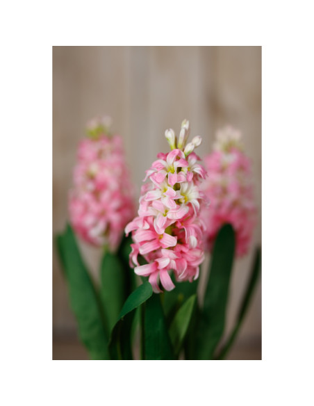 Full dimensions and specifications of Hill Interiors Pink Hyacinth Stem 23877: Height 44.00cm, Width 0.00cm, perfect for your l