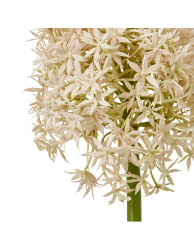 Buy Hill Interiors 23859 Pink Medium Allium Stem online in UK with fast delivery from FastDaddy UK, your furniture expert.
