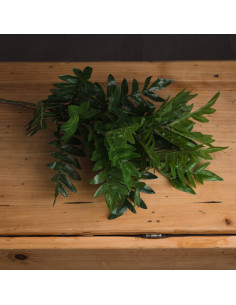 Buy Hill Interiors 18956 Pistach Bunch online in UK with fast delivery from FastDaddy UK, your furniture expert.