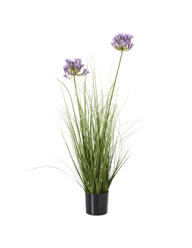 Hill Interiors Purple Agapanthus Plant In Pot 23719 - Authentic Hill Interiors furniture directly from FastDaddy UK. Exclusive