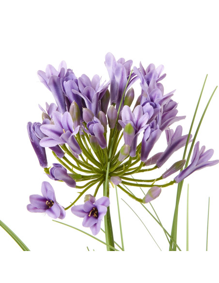 Buy Hill Interiors 23719 Purple Agapanthus Plant In Pot online in UK with fast delivery from FastDaddy UK, your furniture exper