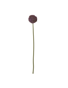 Hill Interiors Purple Allium Stem 23849 - Authentic Hill Interiors furniture directly from FastDaddy UK. Exclusive collection o