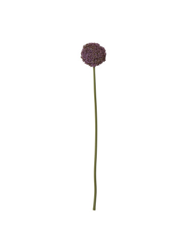 Hill Interiors Purple Allium Stem 23849 - Authentic Hill Interiors furniture directly from FastDaddy UK. Exclusive collection o