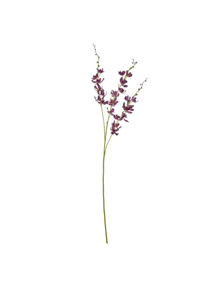 Hill Interiors Purple Cymbidium Spray 23872 - Authentic Hill Interiors furniture directly from FastDaddy UK. Exclusive collecti