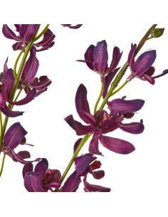 Hill Interiors Purple Cymbidium Spray 23872 - Authentic Hill Interiors furniture directly from FastDaddy UK. Exclusive collecti 2