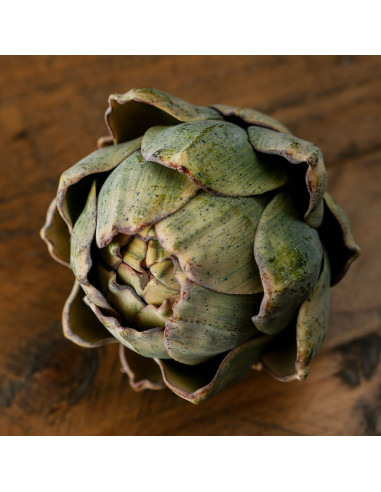 Affordable industrial style furniture Hill Interiors Real Touch Artificial Artichoke 22208 for modern home decor, free shipping