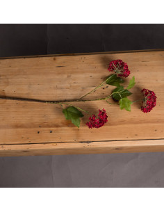 Buy Hill Interiors 19624 Red Autumnal Viburnum online in UK with fast delivery from FastDaddy UK, your furniture expert.