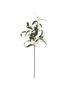 Hill Interiors Seeded Eucalyptus Spray 22175 - Authentic Hill Interiors furniture directly from FastDaddy UK. Exclusive collect