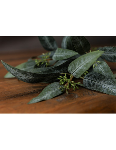 Affordable industrial style furniture Hill Interiors Seeded Eucalyptus Spray 22175 for modern home decor, free shipping options