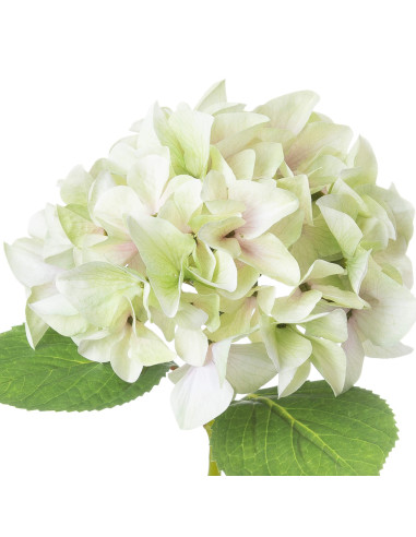 Affordable industrial style furniture Hill Interiors Shabby Green Single Hydrangea 21065 for modern home decor, free shipping o