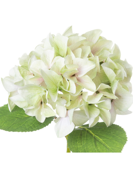 Affordable industrial style furniture Hill Interiors Shabby Green Single Hydrangea 21065 for modern home decor, free shipping o