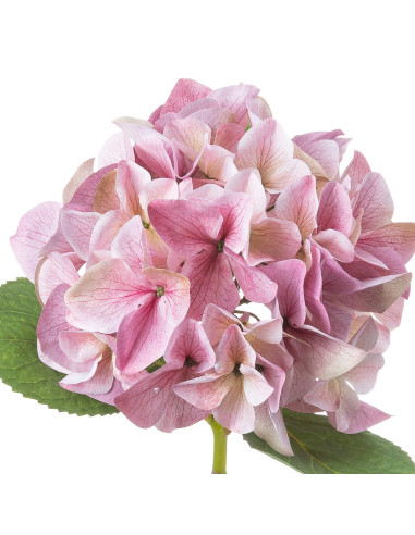 Affordable industrial style furniture Hill Interiors Shabby Pink Single Hydrangea 21063 for modern home decor, free shipping op