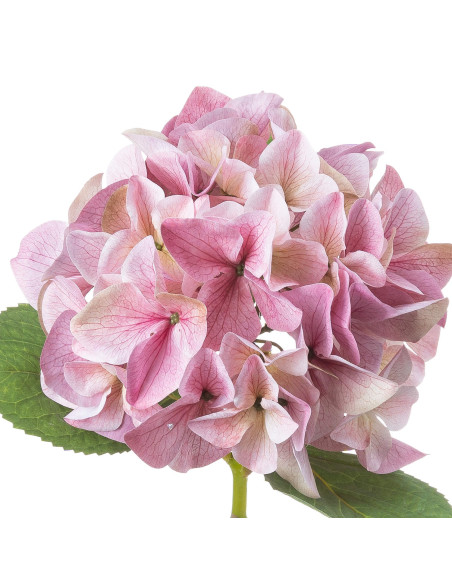 Affordable industrial style furniture Hill Interiors Shabby Pink Single Hydrangea 21063 for modern home decor, free shipping op