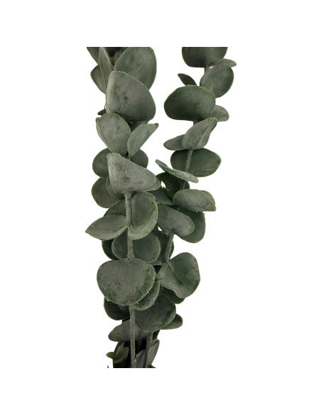 Buy Hill Interiors 20545 Silver Dollar Eucalyptus online in UK with fast delivery from FastDaddy UK, your furniture expert.