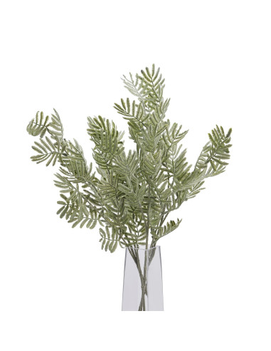 Full dimensions and specifications of Hill Interiors Silver Wattle Leaf 22614: Height 73.00cm, Width 22.00cm, perfect for your