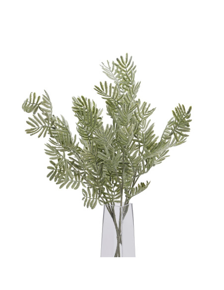 Full dimensions and specifications of Hill Interiors Silver Wattle Leaf 22614: Height 73.00cm, Width 22.00cm, perfect for your