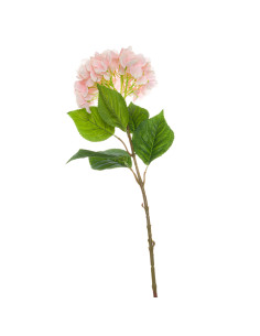 Hill Interiors Single Pink Hydrangea 20532 - Authentic Hill Interiors furniture directly from FastDaddy UK. Exclusive collectio