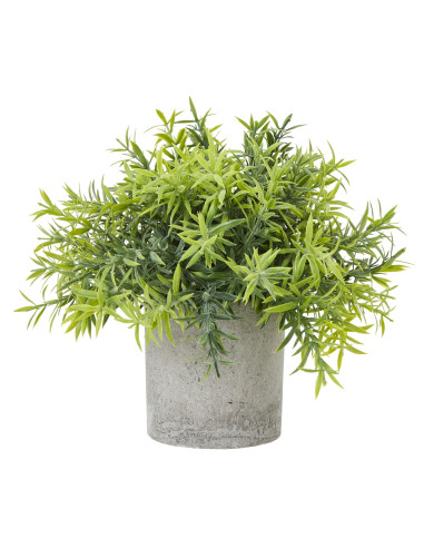 Hill Interiors Small Bamboo Plant In Grey Pot 23701 - Authentic Hill Interiors furniture directly from FastDaddy UK. Exclusive