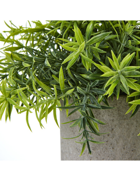 Buy Hill Interiors 23701 Small Bamboo Plant In Grey Pot online in UK with fast delivery from FastDaddy UK, your furniture exper