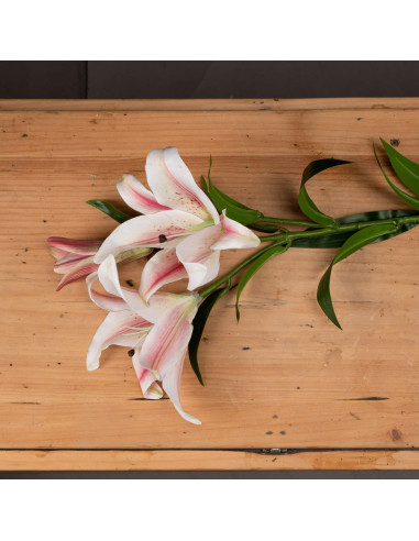 Buy Hill Interiors 19719 Stargazer Lily online in UK with fast delivery from FastDaddy UK, your furniture expert.