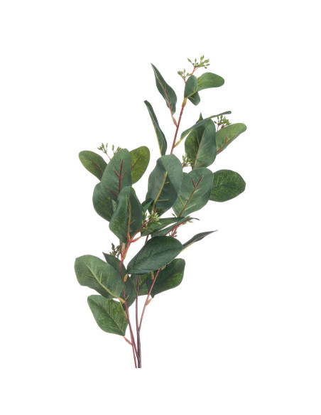 Affordable industrial style furniture Hill Interiors Summer Seeded Eucalyptus 20547 for modern home decor, free shipping option