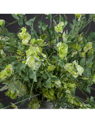 Buy Hill Interiors 20100 Sweet Pea Trail online in UK with fast delivery from FastDaddy UK, your furniture expert.