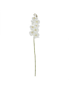 Hill Interiors Tall White Butterfly Orchid Stem 23380 - Authentic Hill Interiors furniture directly from FastDaddy UK. Exclusiv
