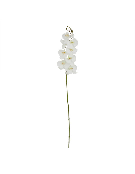 Hill Interiors Tall White Butterfly Orchid Stem 23380 - Authentic Hill Interiors furniture directly from FastDaddy UK. Exclusiv