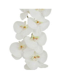 Hill Interiors Tall White Butterfly Orchid Stem 23380 - Authentic Hill Interiors furniture directly from FastDaddy UK. Exclusiv 2