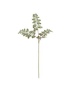 Hill Interiors The Natural Garden Collection Maidenhair Fern Stem 23393 - Authentic Hill Interiors furniture directly from Fast