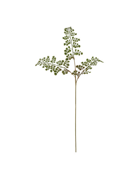 Hill Interiors The Natural Garden Collection Maidenhair Fern Stem 23393 - Authentic Hill Interiors furniture directly from Fast