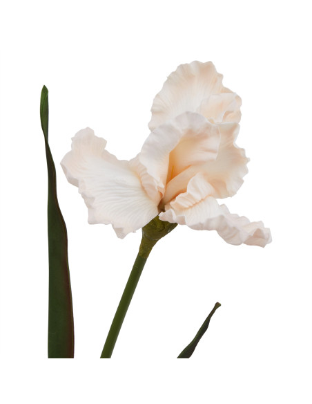High-quality metal and wood construction of Hill Interiors SKU 23406 The Natural Garden Collection Pale Apricot Fringed Iris, d