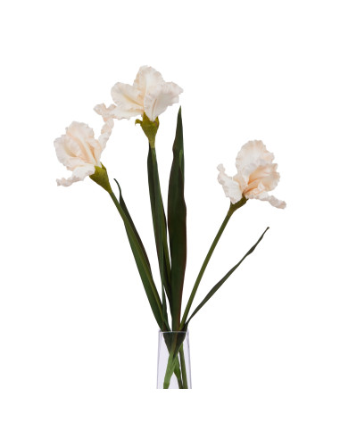 Full dimensions and specifications of Hill Interiors The Natural Garden Collection Pale Apricot Fringed Iris 23406: Height 83.0
