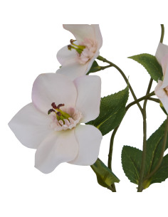 Hill Interiors The Natural Garden Collection Pale Apricot Hellibore 23409 - Authentic Hill Interiors furniture directly from Fa 2