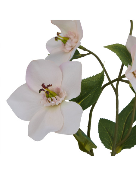 Buy Hill Interiors 23409 The Natural Garden Collection Pale Apricot Hellibore online in UK with fast delivery from FastDaddy UK