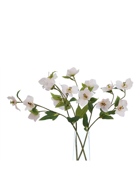 Affordable industrial style furniture Hill Interiors The Natural Garden Collection Pale Apricot Hellibore 23409 for modern home