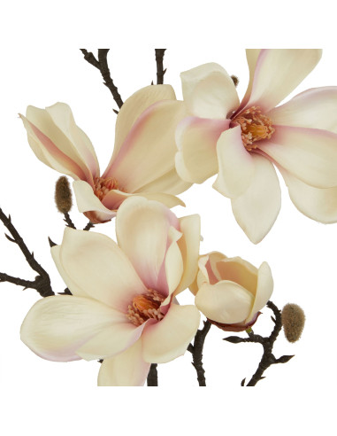Buy Hill Interiors 23384 The Natural Garden Collection Pale Apricot Magnolia Stem online in UK with fast delivery from FastDadd
