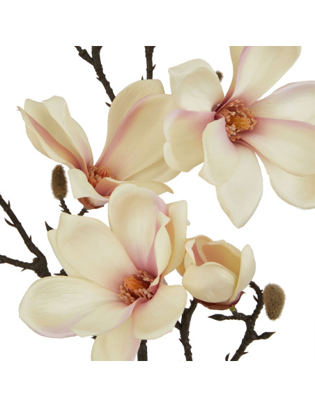 Buy Hill Interiors 23384 The Natural Garden Collection Pale Apricot Magnolia Stem online in UK with fast delivery from FastDadd