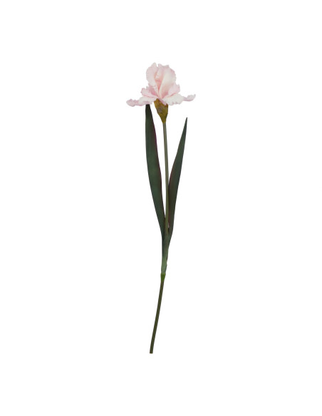 Hill Interiors The Natural Garden Collection Pale Pink Fringed Iris 23407 - Authentic Hill Interiors furniture directly from Fa