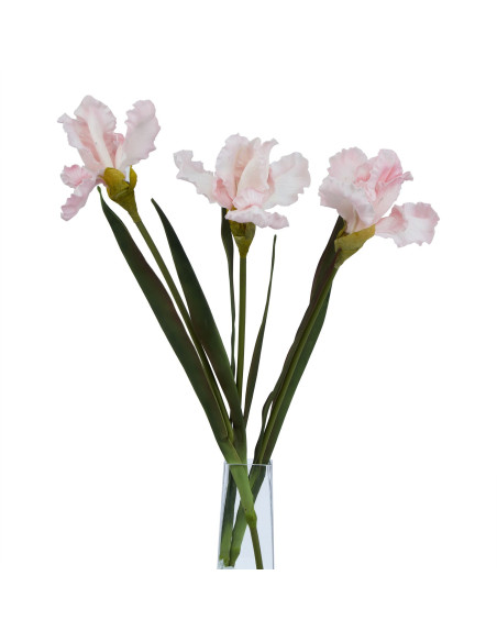 Affordable industrial style furniture Hill Interiors The Natural Garden Collection Pale Pink Fringed Iris 23407 for modern home