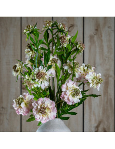 Affordable industrial style furniture Hill Interiors The Natural Garden Collection Pale Pink Scabious Stem 23416 for modern hom 2